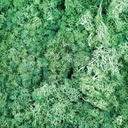 Artificial Moss - Green