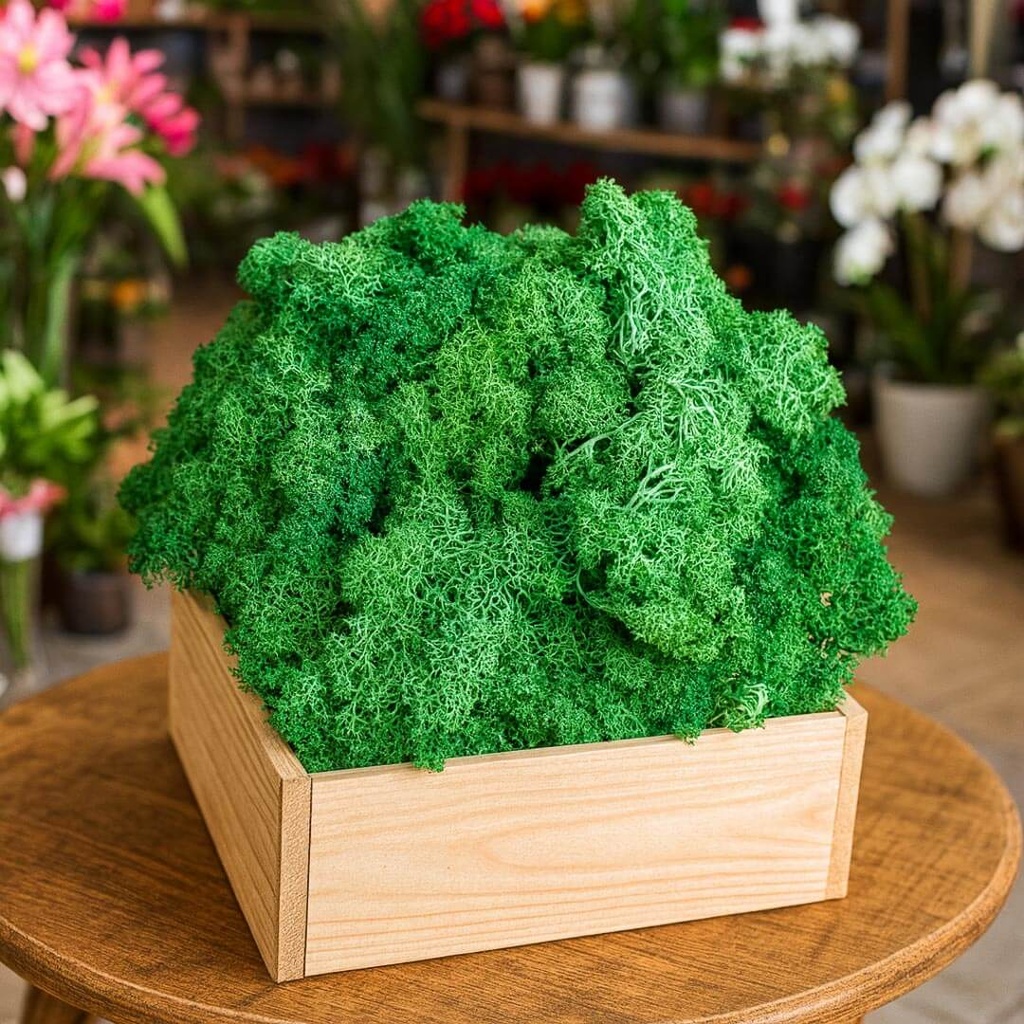 Natural Moss
