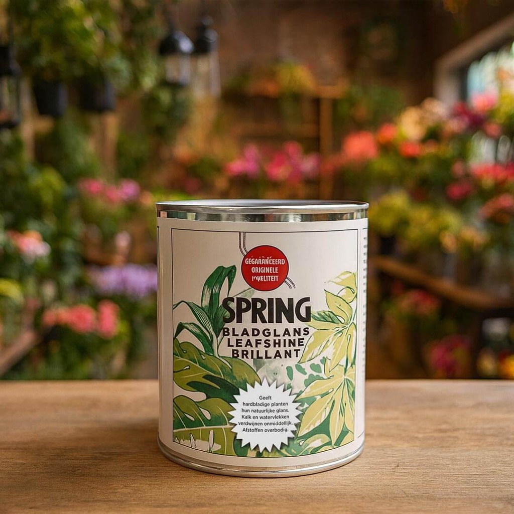 SPRING LEAFSHINE