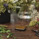 TL-1029-1 FLORAL KENZAN B.webp