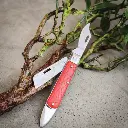 TL-1012 FLORIST FOLDING KNIFE 2.webp
