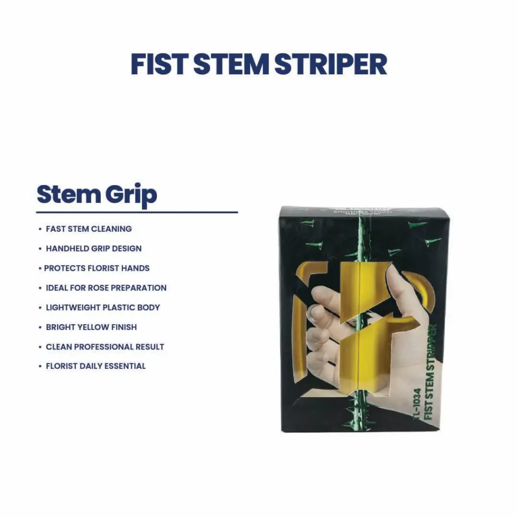 TL-1034 Fist Stem Striper 5.webp