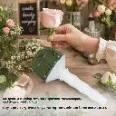 MINI BRIDAL 3.webp
