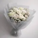TRANSLUCENT SILVER 2.webp