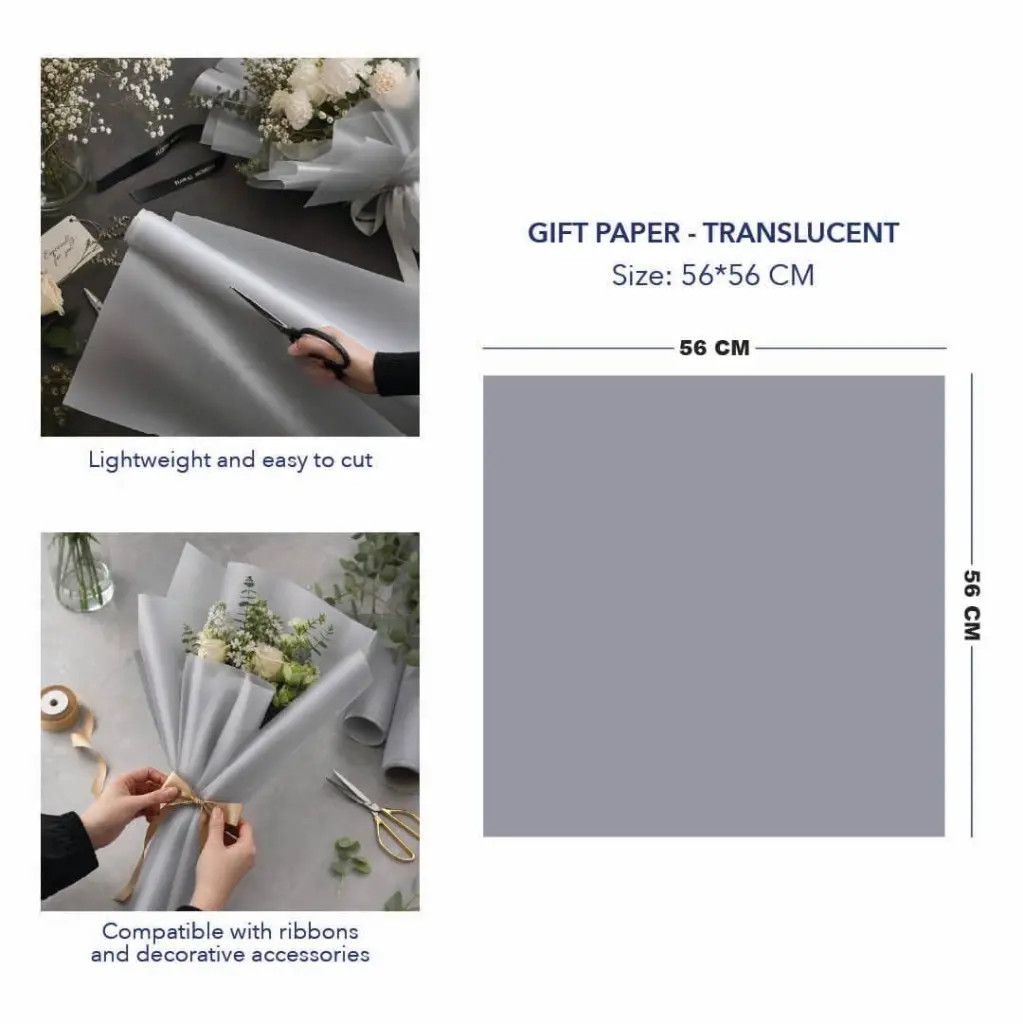 TRANSLUCENT SILVER 4.webp
