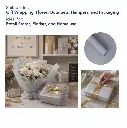 TRANSLUCENT SILVER 5.webp