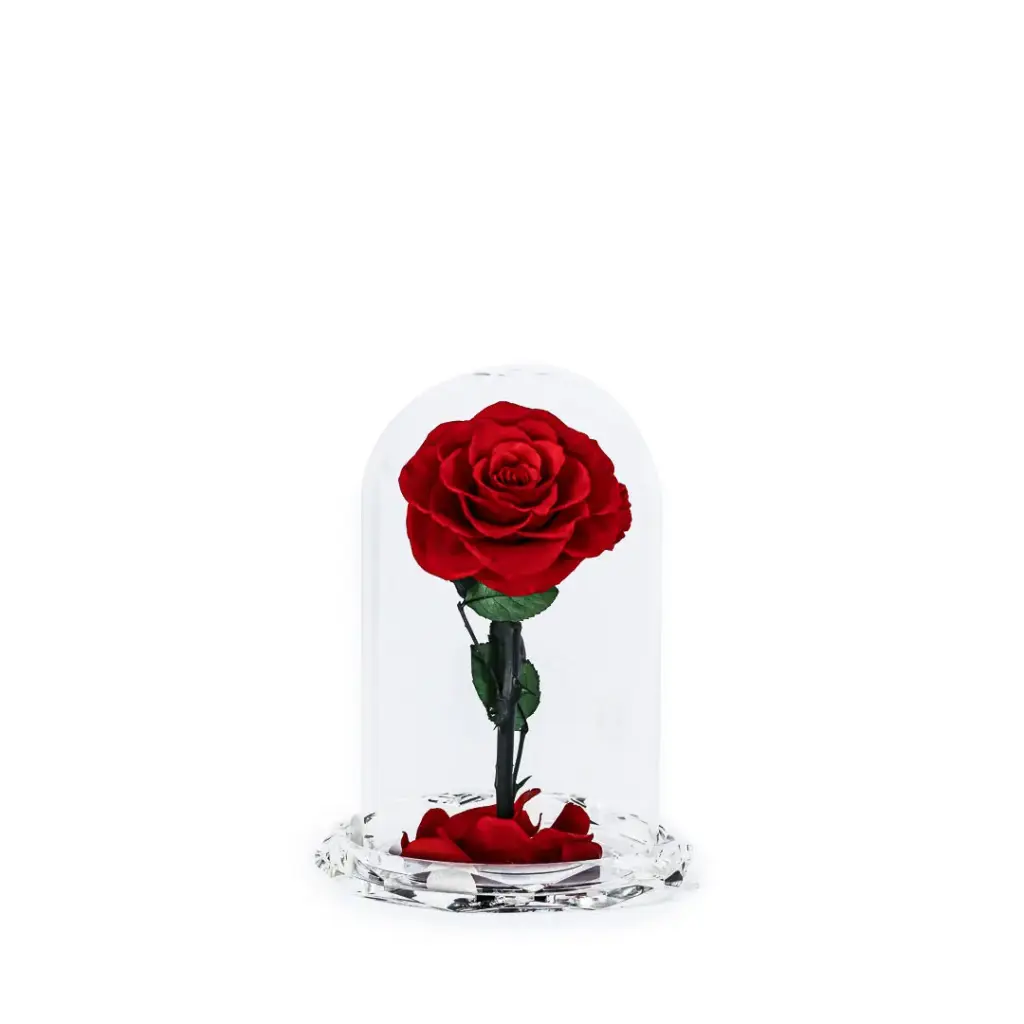 Preserve Flower Crystal Dome Rose Decoration