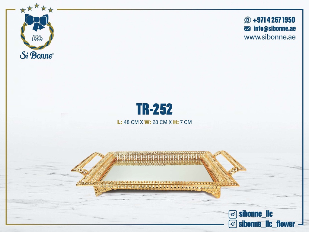 Metal Tray TR-252