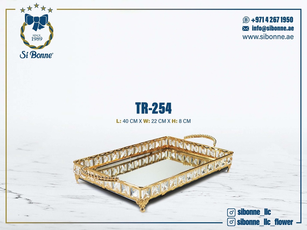 Metal Tray TR-254